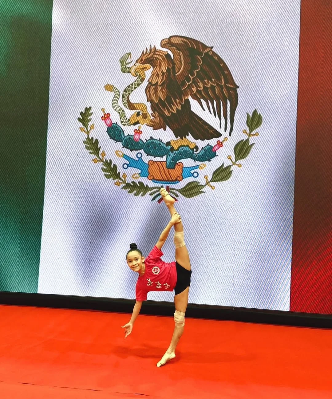 Alexa Sofia Hernández Baeza